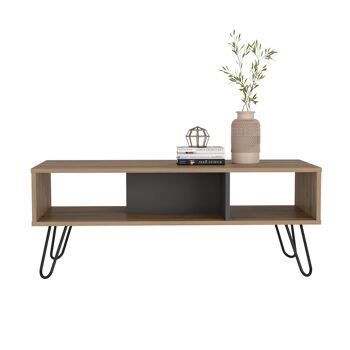 Table Basse Vegas 40 CM H X 101.1 CM L X 45 CM P. 7