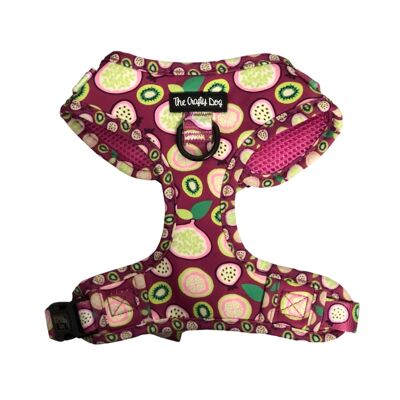 Kiwi Kisses Harness - XS