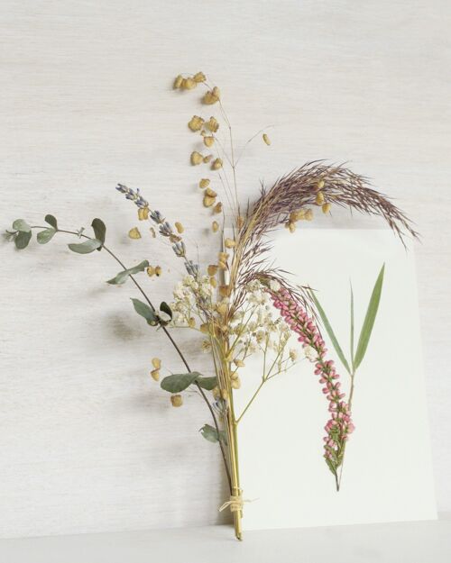 Petit bouquet de plantes séchées • fleurs, feuillages & graminées