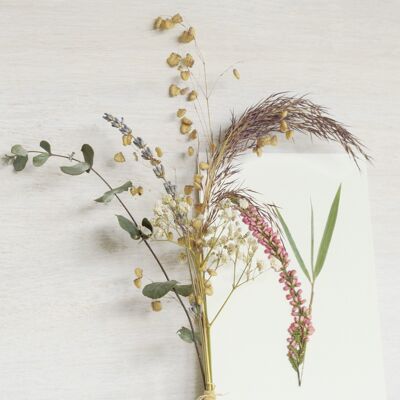 Piccolo bouquet di piante essiccate • fiori, fogliame ed erbe