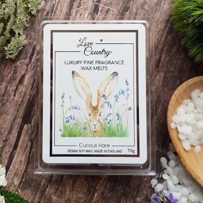 Curious Hare Aroma Wax Melts