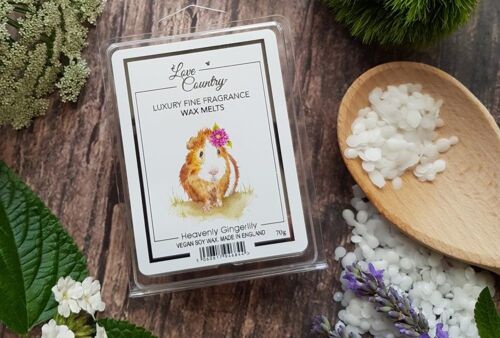 Heavenly Gingerlily Aroma Wax Melts