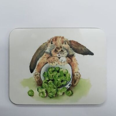 Sprout Supper Coaster