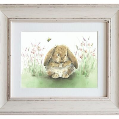 Honey Bunny Medium Framed Print