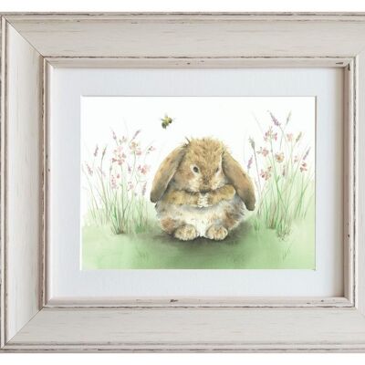 Honey Bunny Medium Framed Print