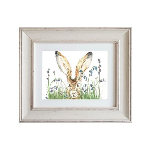 Curious Hare Small Framed Print