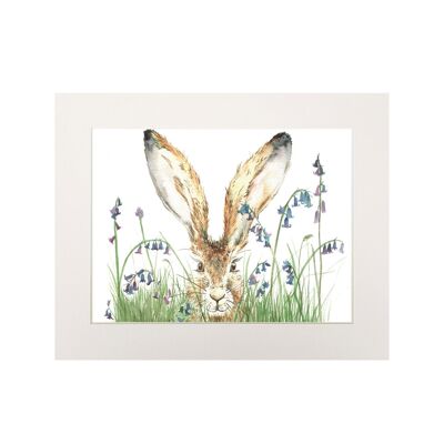 Curious Hare Medium Print