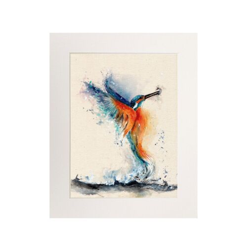 Kingfisher Medium Print
