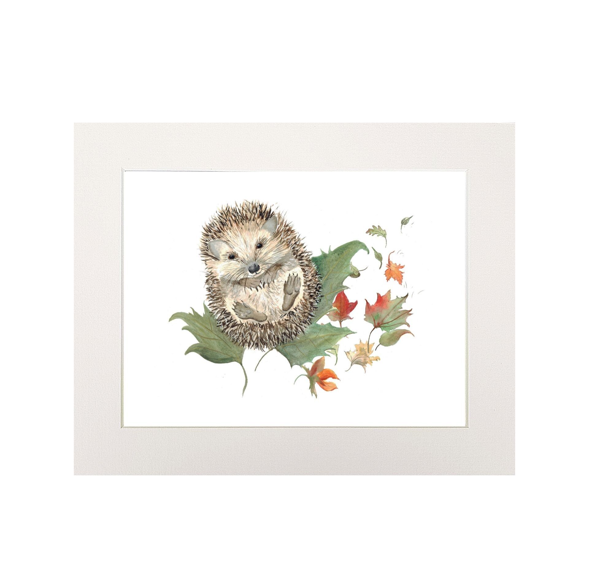 Mr Prickles Hedgehog stampa media