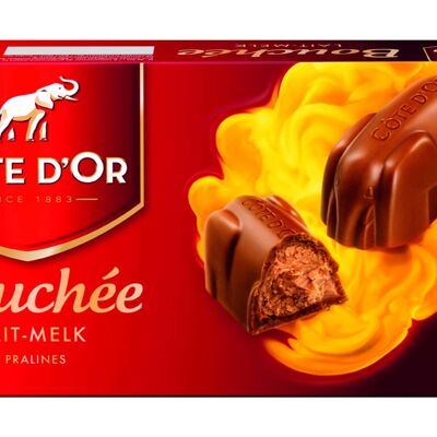 Cote d’Or milk chocolate bouchee filled with praline (25g x 8pc)