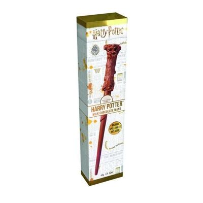 Harry Potter’s milk chocolate wands in counter display