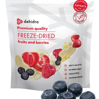 Blueberry freeze-dried, family pack