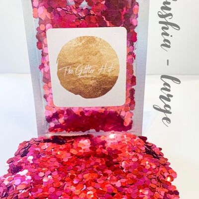 Large Chunky Mixed Glitter - Fushia