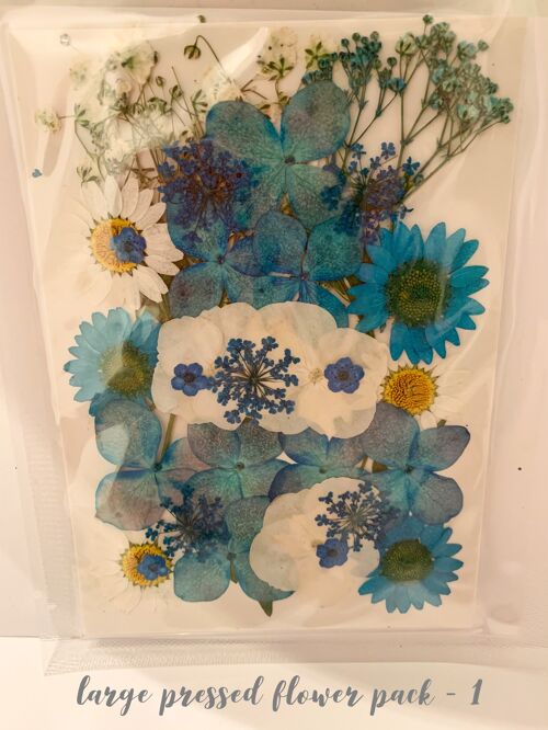 Dried Pressed Flower Pack - 1