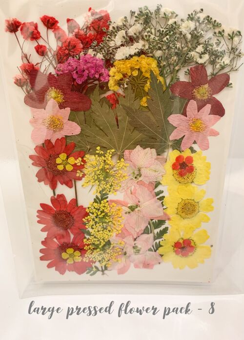 Dried Pressed Flower Pack - 8