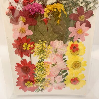 Getrocknete gepresste Blumenpackung - 8