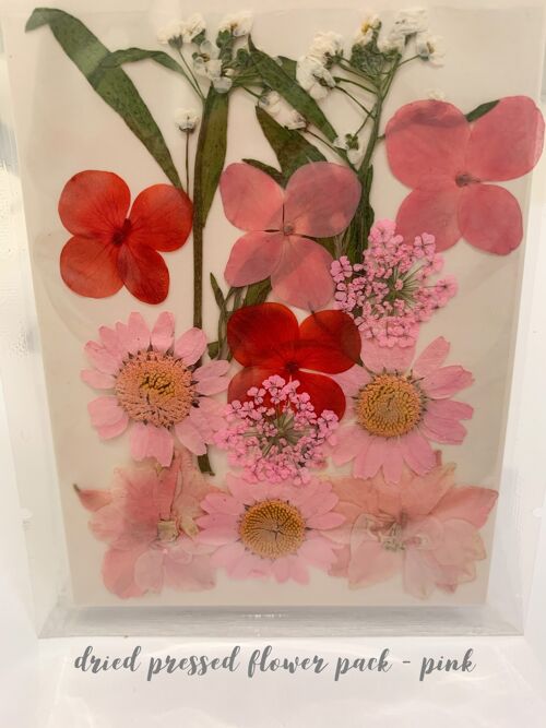 Dried Pressed Flower Pack - Pink