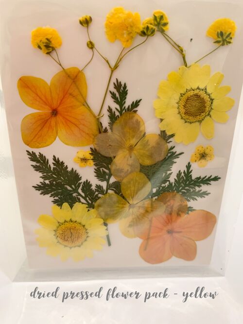 Dried Pressed Flower Pack - Yellow