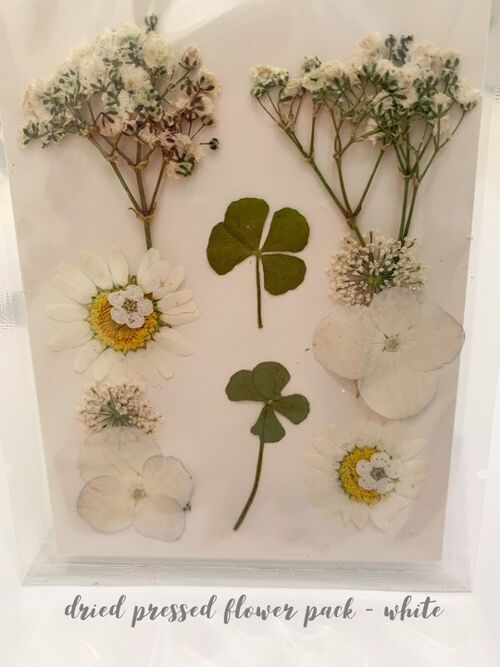 Dried Pressed Flower Pack - White