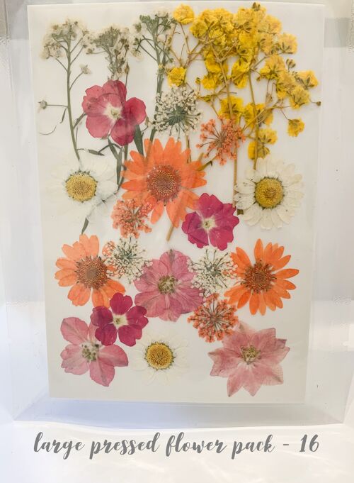 Dried Pressed Flower Pack - 16