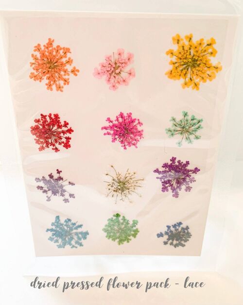 Dried Pressed Flower Pack - Lace