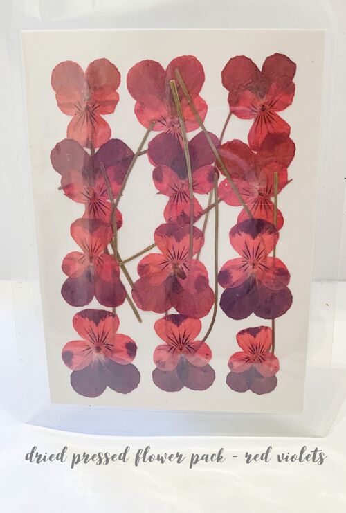 Dried Pressed Flower Pack - Red Violets