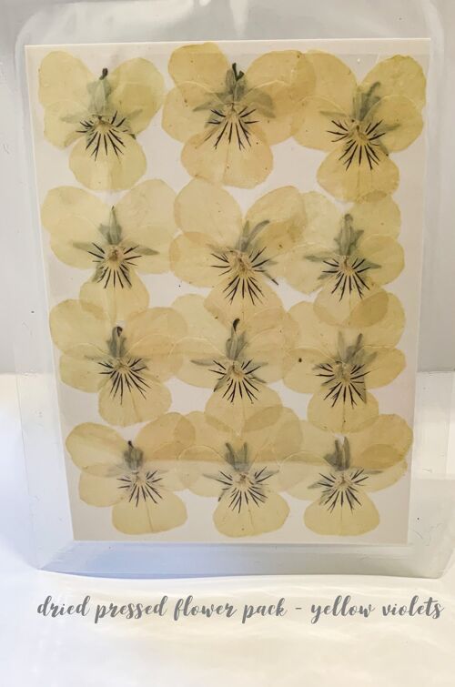 Dried Pressed Flower Pack - Yellow Violets