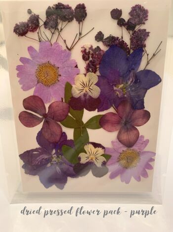 Pack de fleurs pressées séchées - Violet