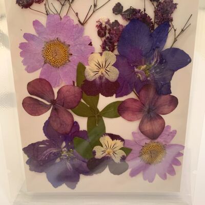 Dried Pressed Flower Pack - Purple