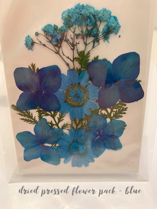 Dried Pressed Flower Pack - Blue
