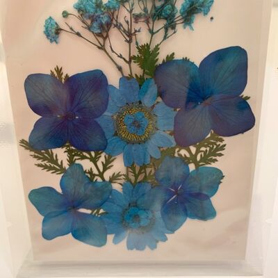 Getrocknete gepresste Blumenpackung - Blau