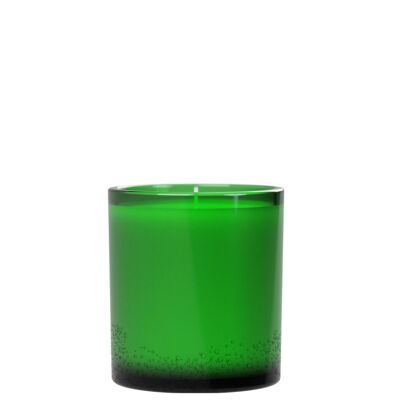 Woodland Fern 1 Wick Candle 220g