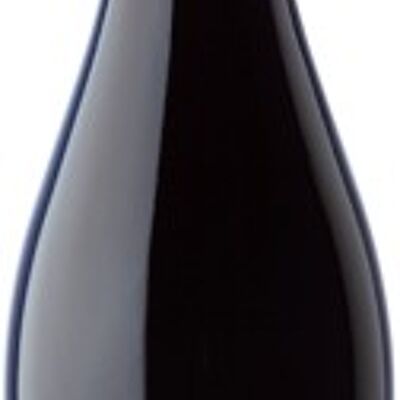 LA POCHOLA GARNACHA ROSSO