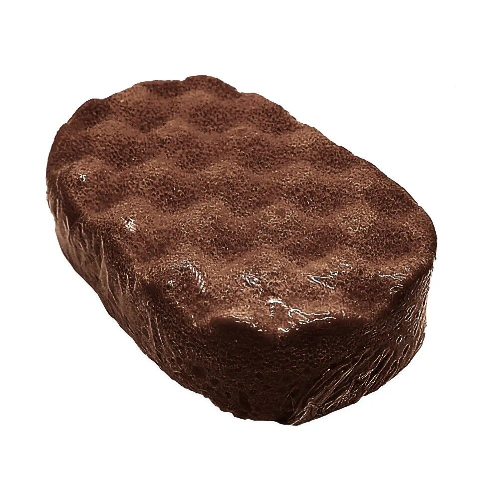 Coconut Soap Sponge