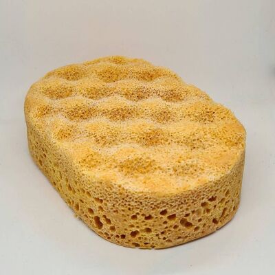 Miss Million Soap Sponge