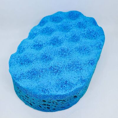 The Male Soap Sponge