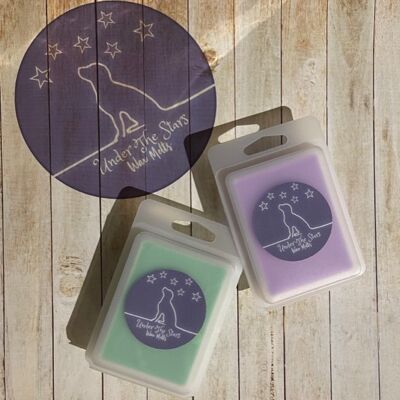 Under the Stars Wax Melts