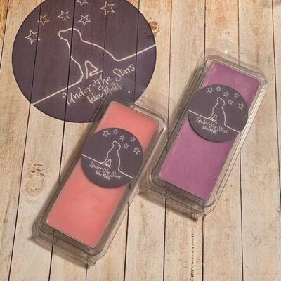 Under the Stars Wax Melts