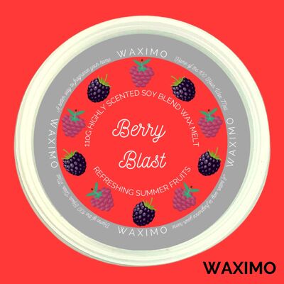 Berry Blast - 110g Wax Melt