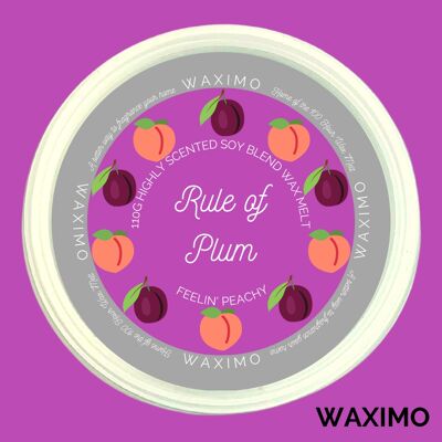 Rule of Plum - 110g Wax Melt