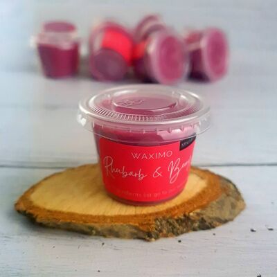 Rhubarb & Berry Mini Melt - 25g