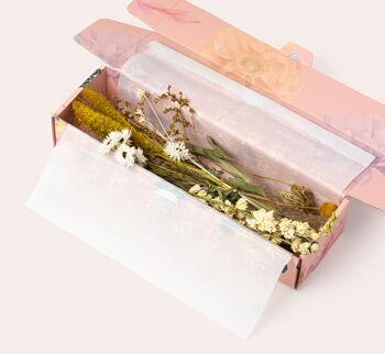 Boîte de tiges de fleurs séchées Orsola 2