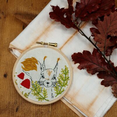 Mischievous squirrel embroidery kit