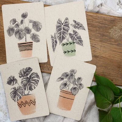 Embroidery cards - Urban jungle - white