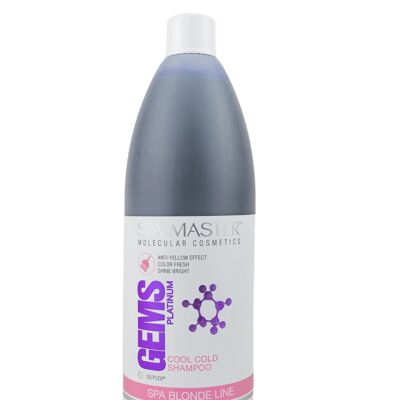 Platinum Silver Shampoo Vorteilsflasche – pH 5,5 Blondes und graues Haar // 970 ml