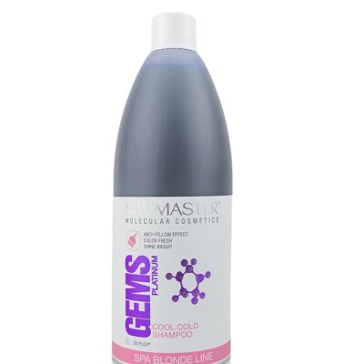 Bottiglia di shampoo Platinum Silver Value - pH 5,5 Capelli biondi e grigi // 970 ml