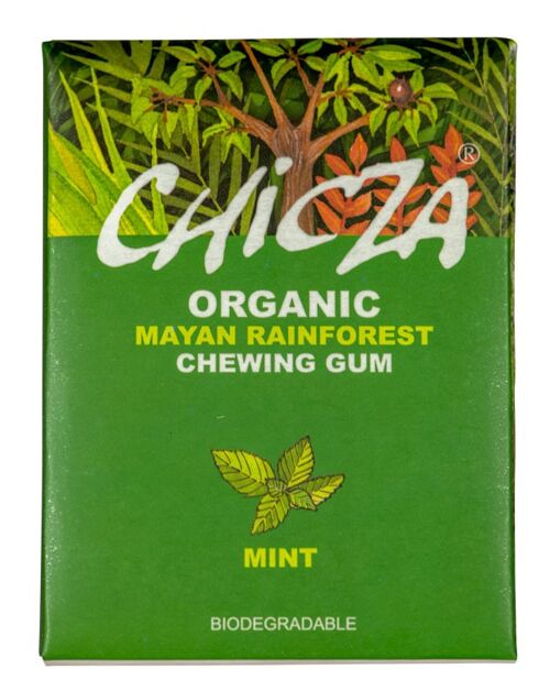 Organic Chewing-gum - box of 10 packs of 30gr - Mint