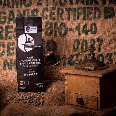 Caffè Honduras BIOLOGICO e DEL COMMERCIO EQUO 250g