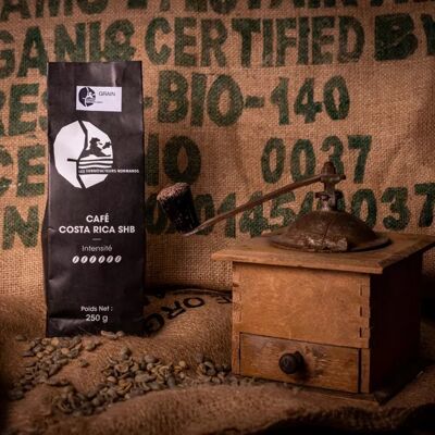 Café en grain Galapagos San Cristobal : rare et réputé Choix du café Grain  Conditionnement 250g
