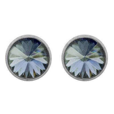 Titanium Stud Earrings Laura with Premium Crystal from Soul Collection in Silvernight